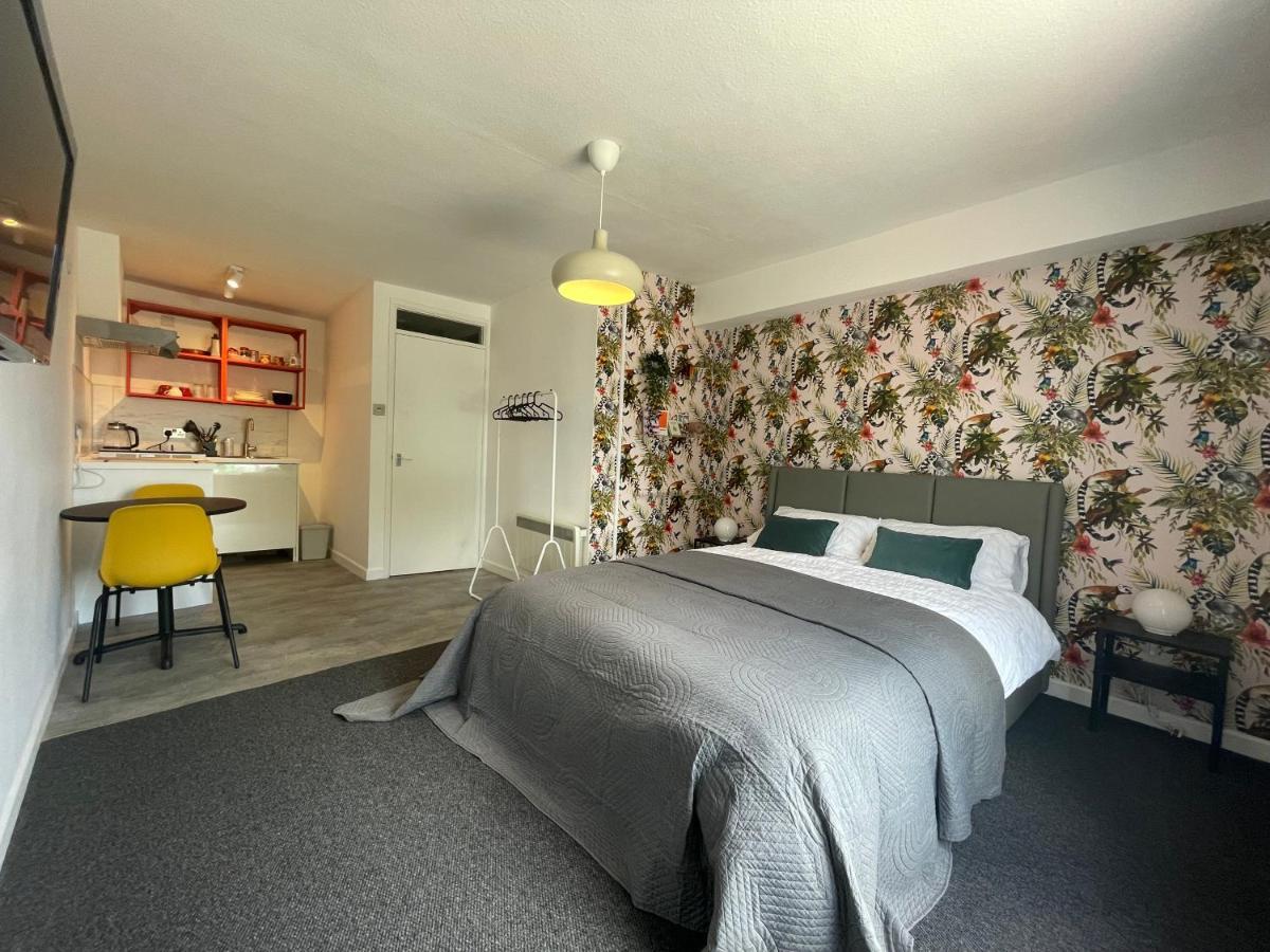 Modern Studio Apartment; 10Min Walk To Town & Quay Exeter Zewnętrze zdjęcie