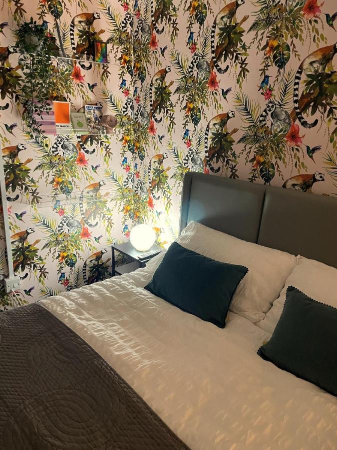 Modern Studio Apartment; 10Min Walk To Town & Quay Exeter Zewnętrze zdjęcie